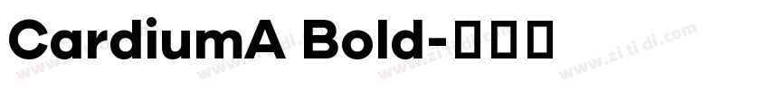 CardiumA Bold字体转换